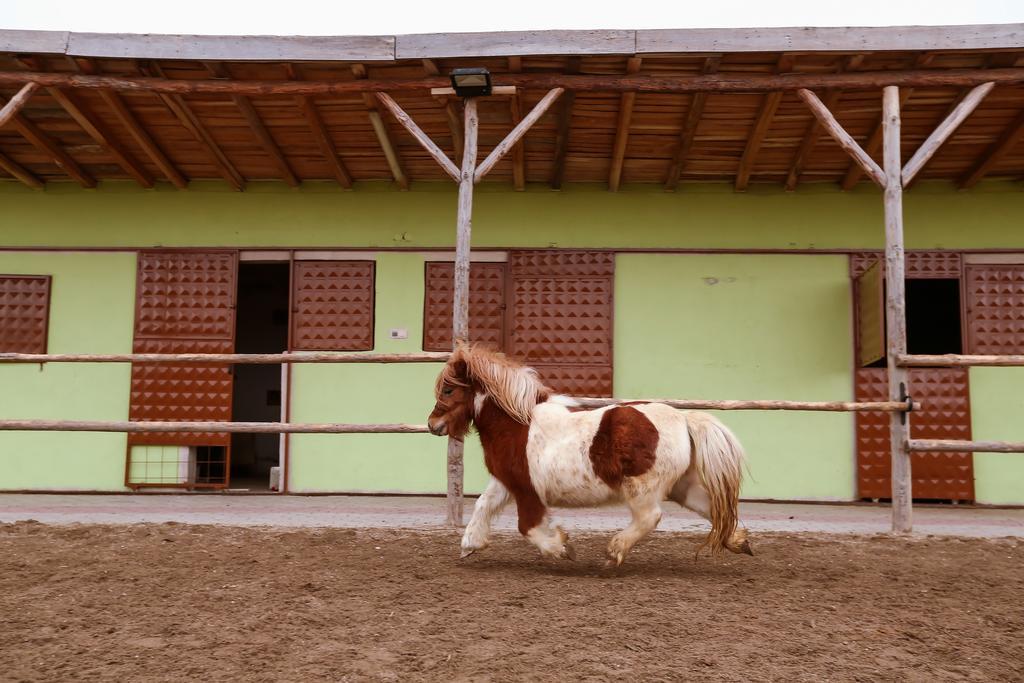 Afyon Can Termal Apart Afyonkarahisar Bagian luar foto
